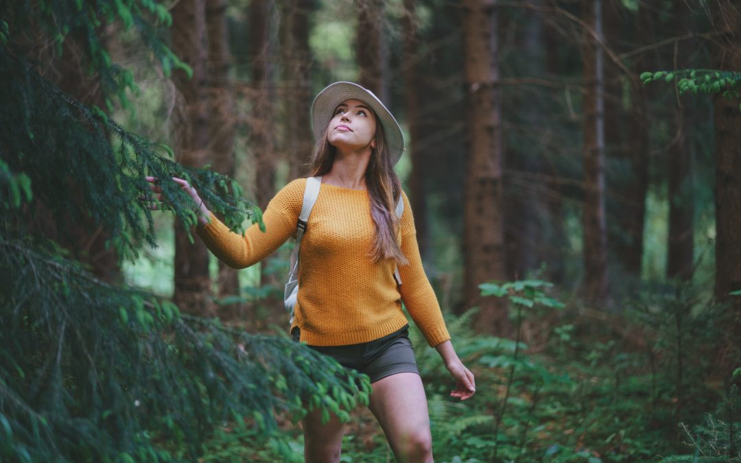 The Benefits of Forest Bathing: Nature’s Healing Influence