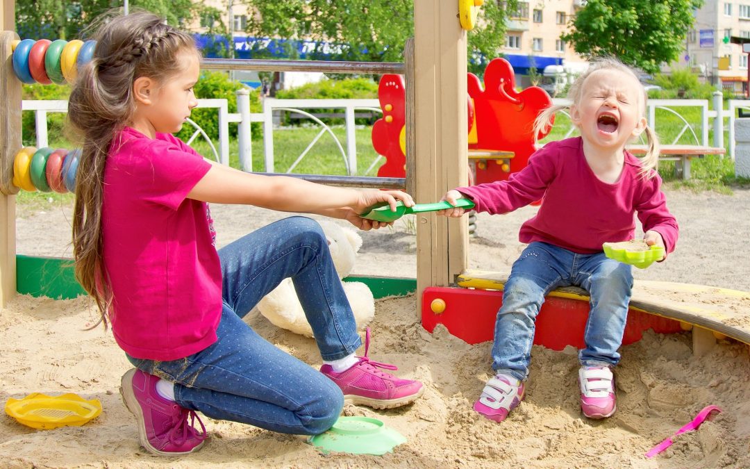 5 TIPS for Sibling Rivalry